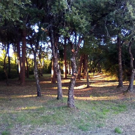 Enjoy The Best Of Countryside Leiria Zewnętrze zdjęcie