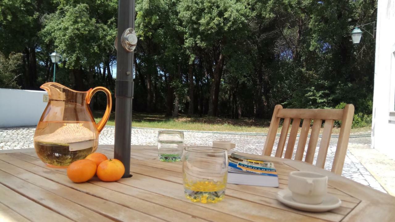Enjoy The Best Of Countryside Leiria Zewnętrze zdjęcie