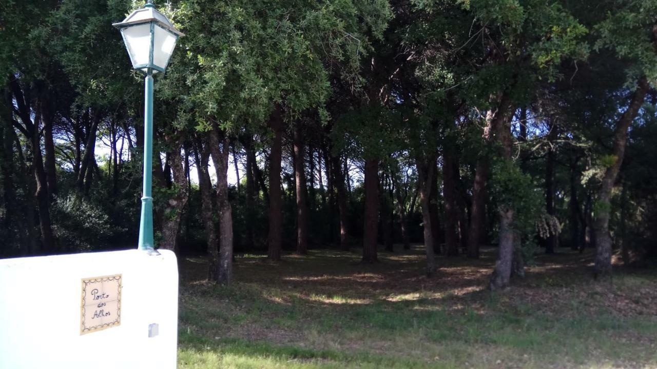 Enjoy The Best Of Countryside Leiria Zewnętrze zdjęcie