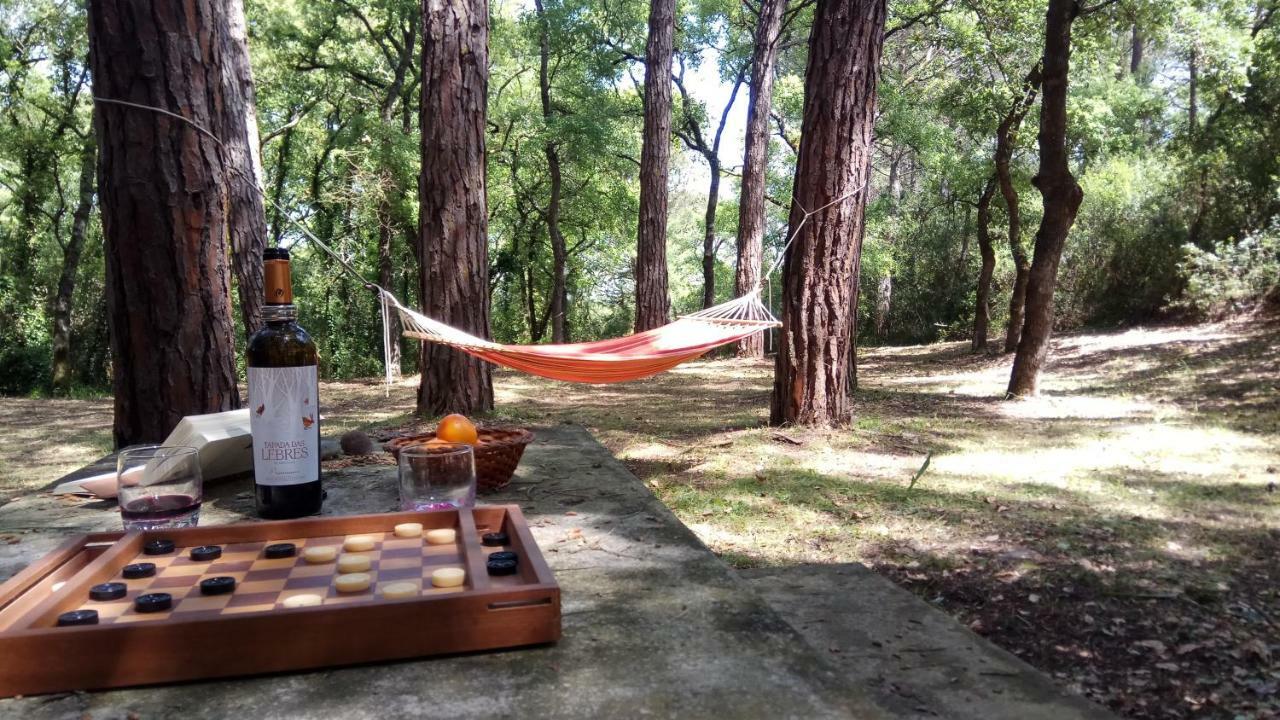 Enjoy The Best Of Countryside Leiria Zewnętrze zdjęcie
