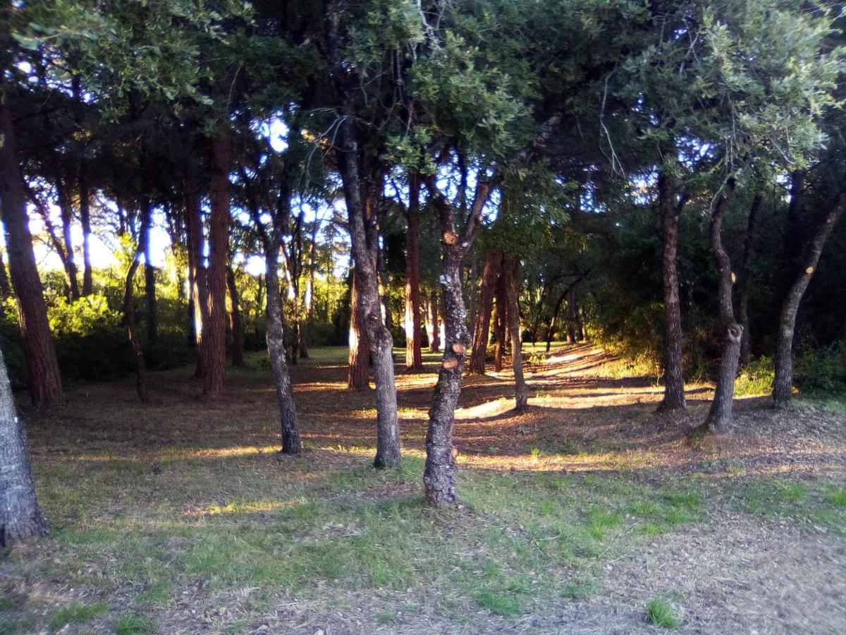 Enjoy The Best Of Countryside Leiria Zewnętrze zdjęcie
